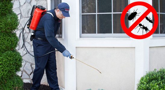 Güçlükonak Kemirgen İlaçlama böcek ilaçlama ve haşere kontrolü — ilaclama-tr.com